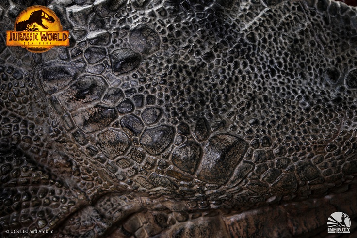 Giganotosaurus Wall Mounted Bust