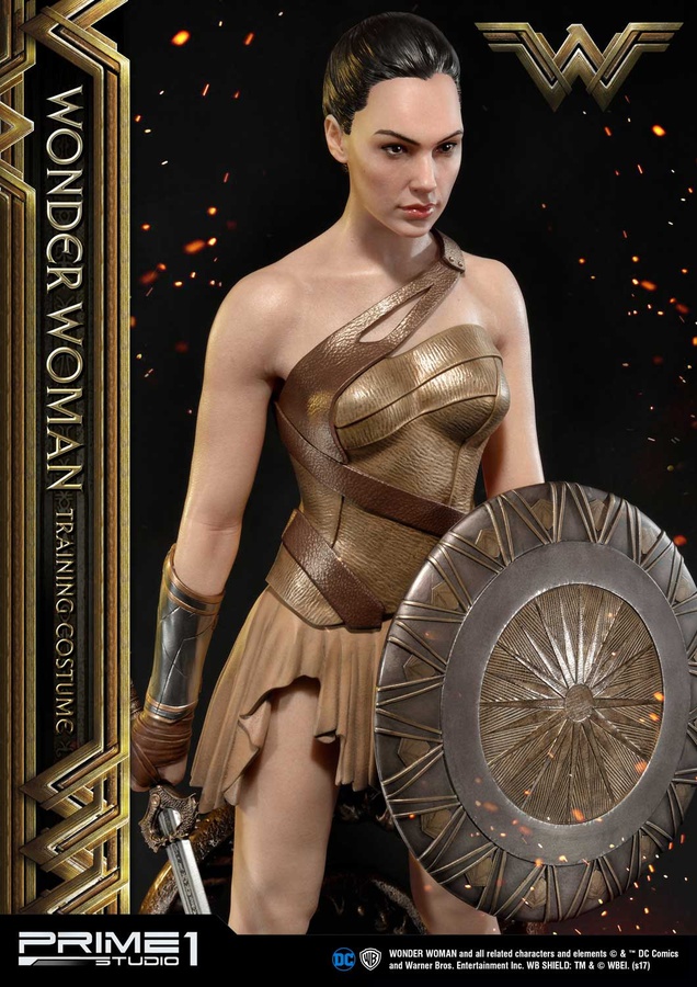 Wonder Woman Training Costume