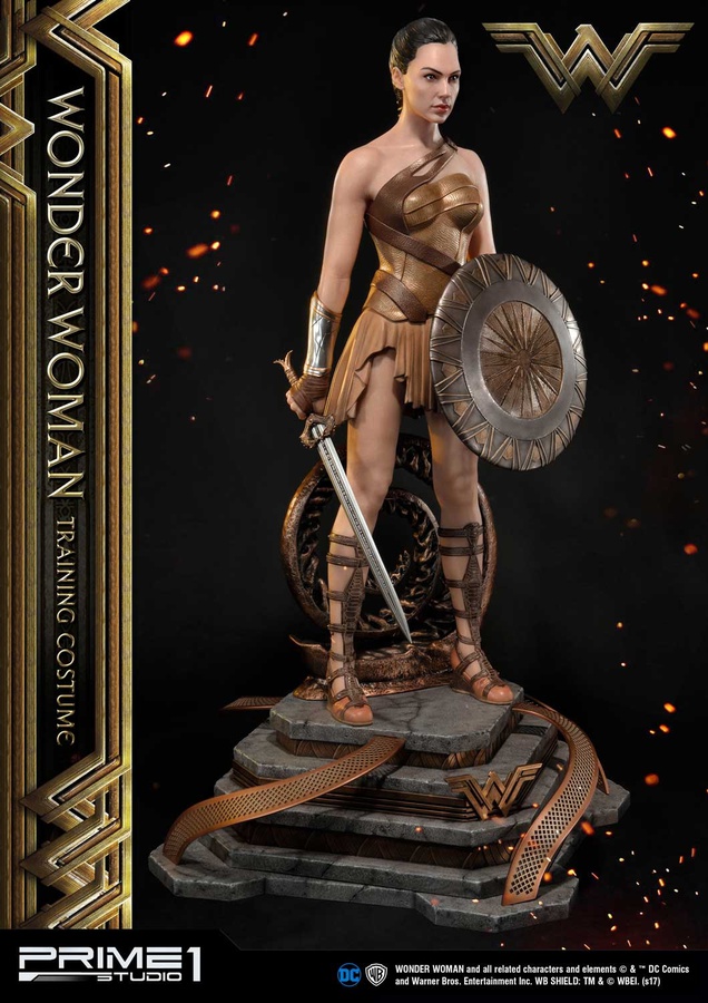 Wonder Woman Training Costume