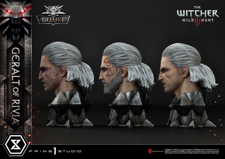 Geralt of Rivia - DX VER
