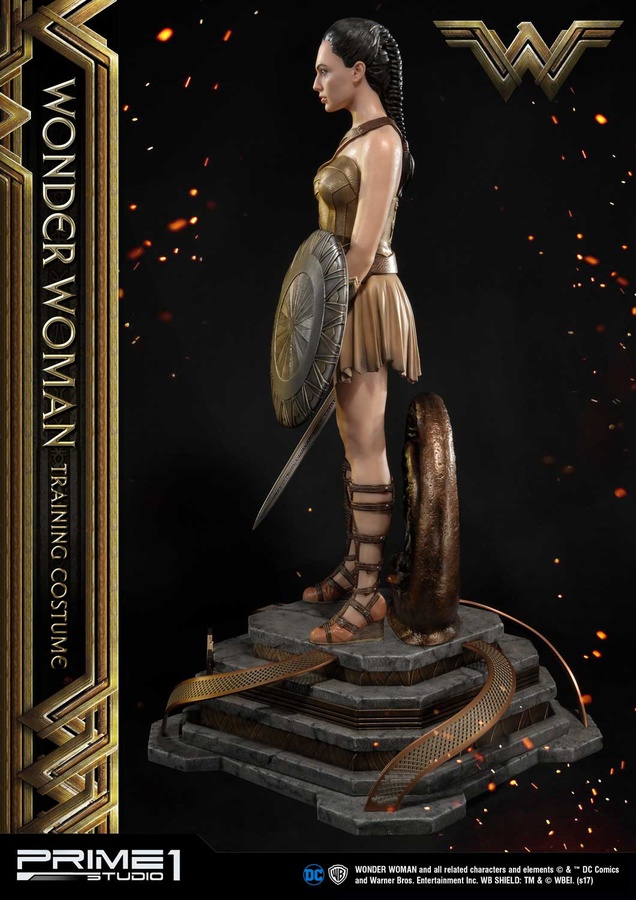 Wonder Woman Training Costume