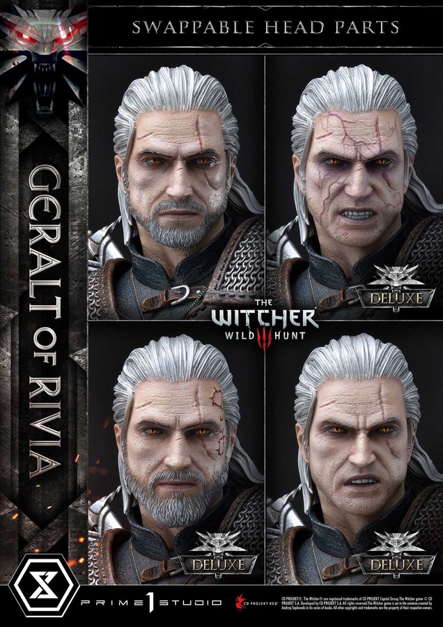 Geralt of Rivia - DX VER