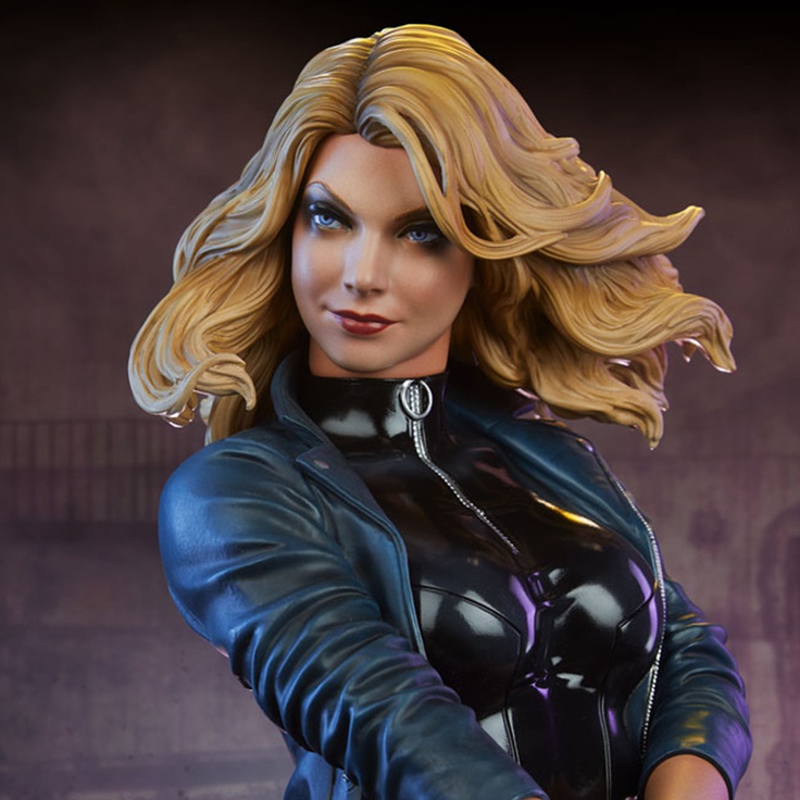 Black Canary - Premium Format