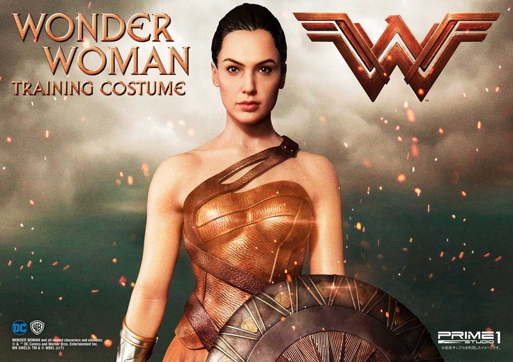 Wonder Woman Training Costume