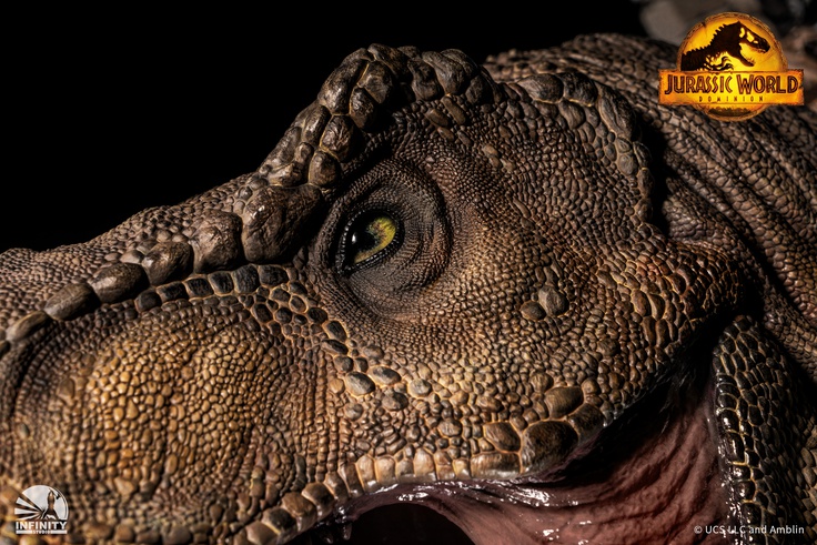 Tyrannosaurus Rex Wall Mounted Bust - (T-REX)