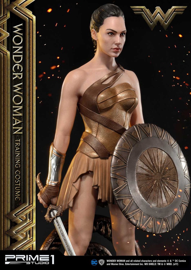 Wonder Woman Training Costume